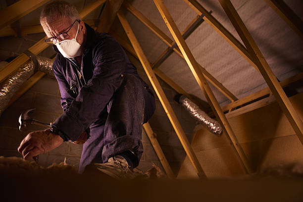 Best Geographic-Specific Insulation Services in Perry Park, CO