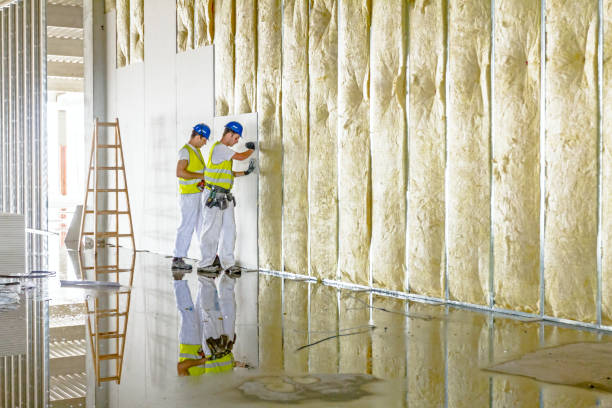 Best Eco-Friendly Insulation in Perry Park, CO